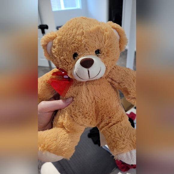 Teddy Bear 🧸 - Picture 3 of 4